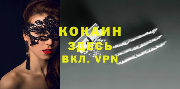 твердый Алексин